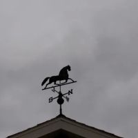 Lake Carroll Campground ico