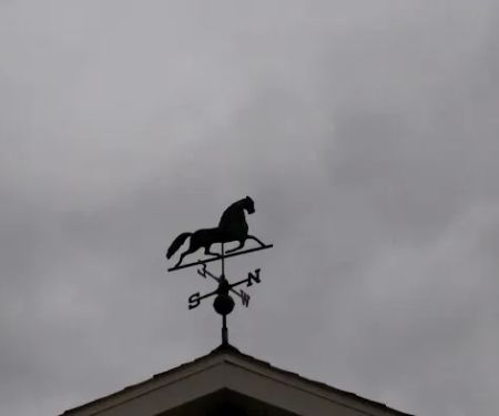 Lake Carroll Campground