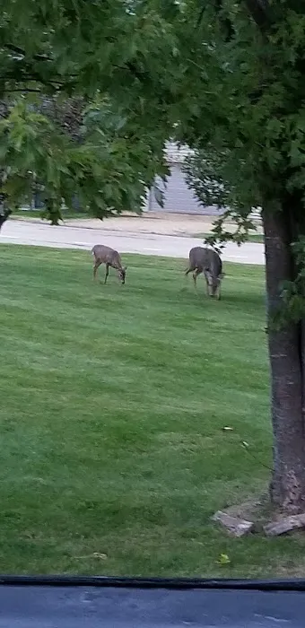 Lake Carroll Campground Picture 9