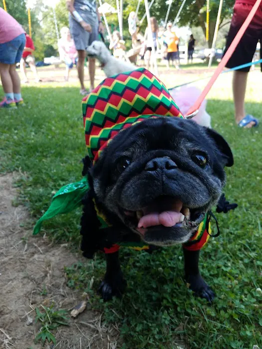 Lake Carroll Campground Picture 3