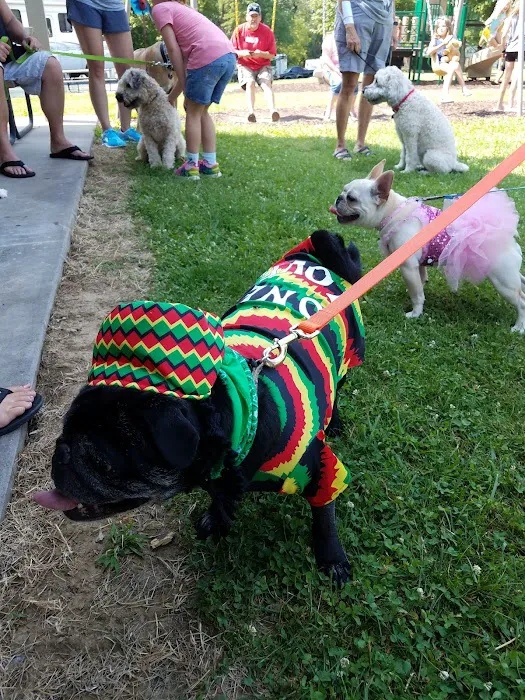 Lake Carroll Campground Picture 5