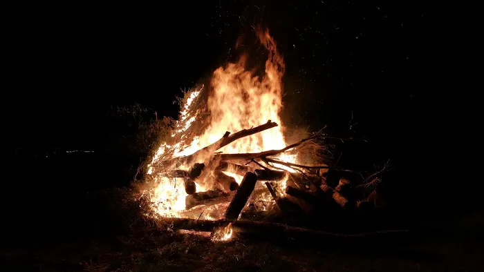 Lake Carroll Campground Picture 10