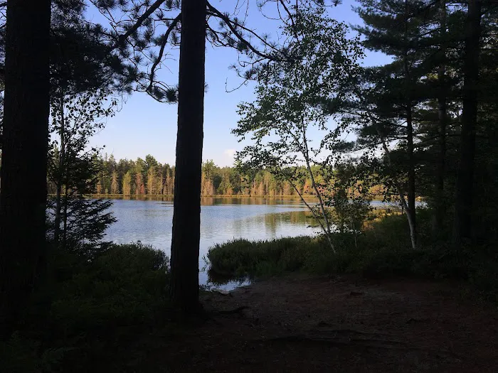 Seney Cabin Picture 6