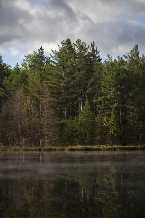 Seney Cabin Picture 9