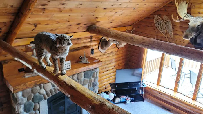 Seney Cabin Picture 12