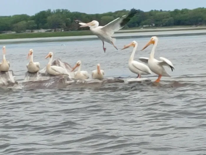 Lakeside Campground Picture 1