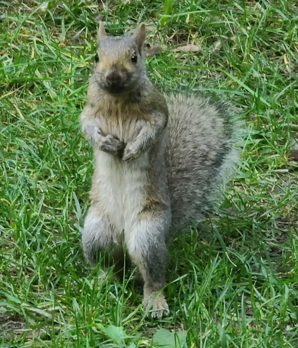 Lakeside Campground Picture 9