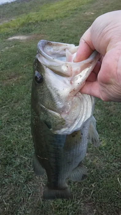 Lake Campalot Picture 1