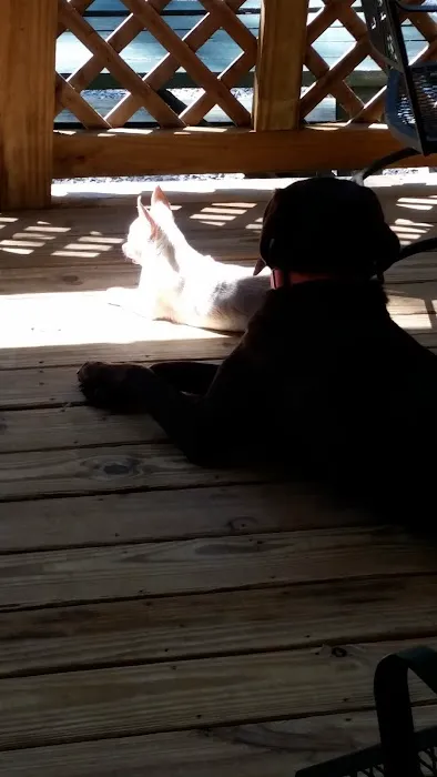 Lake Campalot Picture 8