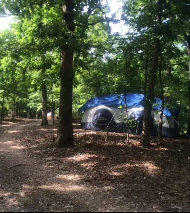 Camp Dawg Woodz Picture 7