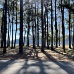 McFarland Park Campground