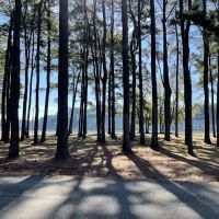 McFarland Park Campground ico