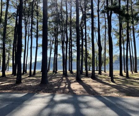 McFarland Park Campground