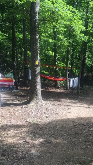 Camp Dawg Woodz Picture 9