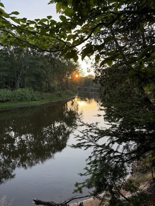 Merwin Creek Campground Picture 1