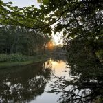 Merwin Creek Campground