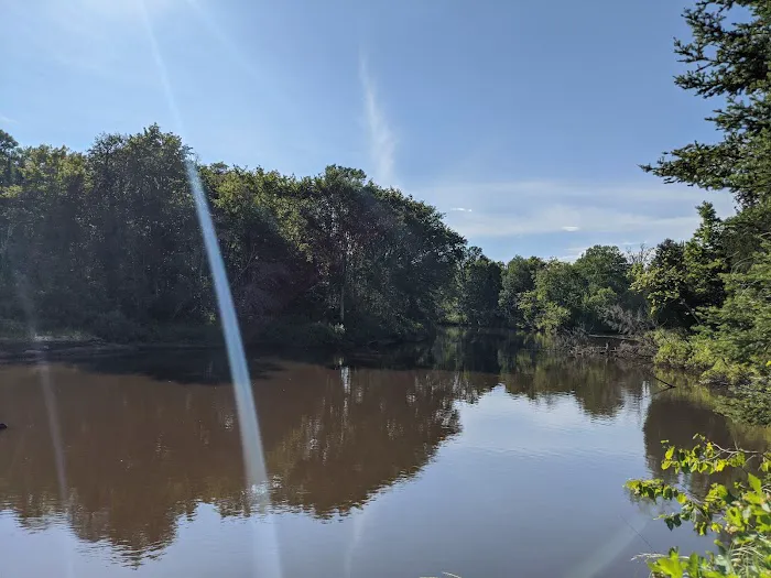 Merwin Creek Campground Picture 3