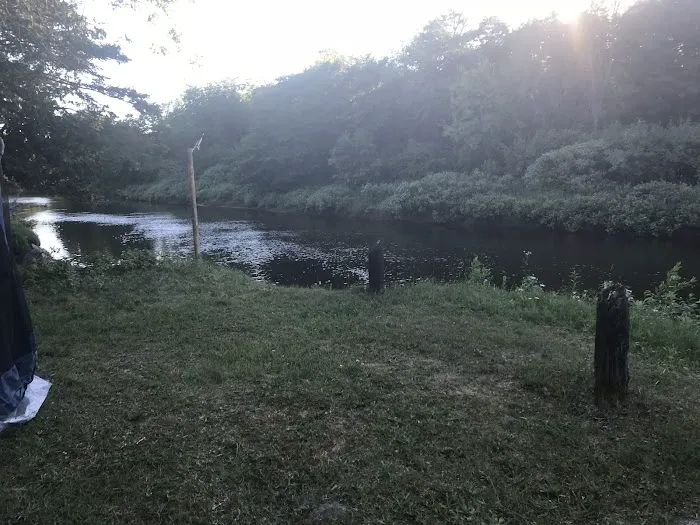 Merwin Creek Campground Picture 8