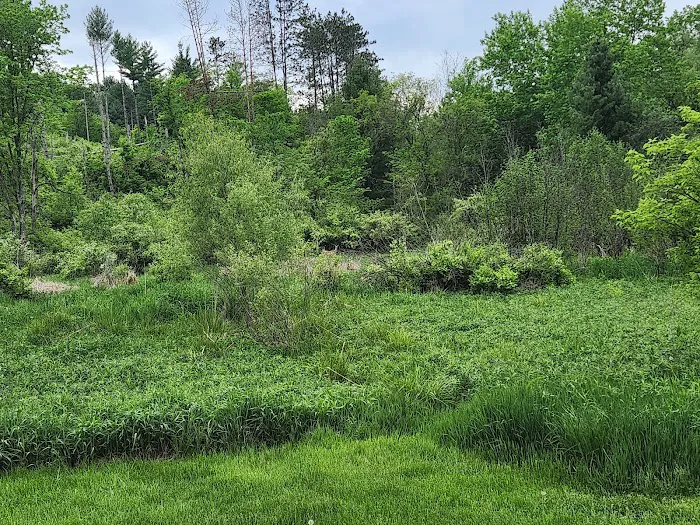 KVR Campsite K Picture 8