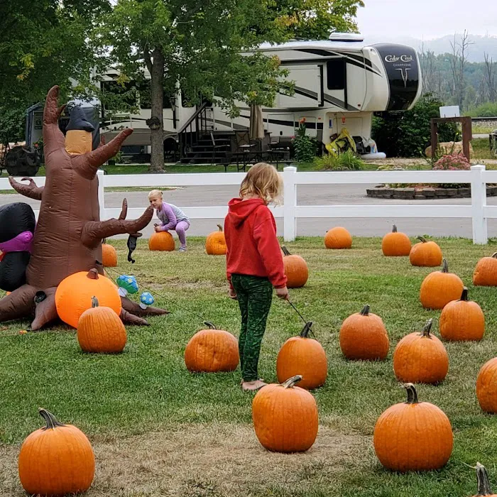 Boulder Creek Campground Picture 3