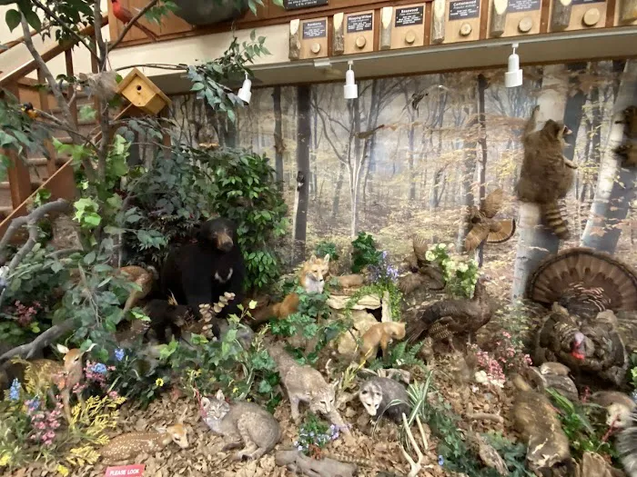 Delaware County Conservation Picture 9