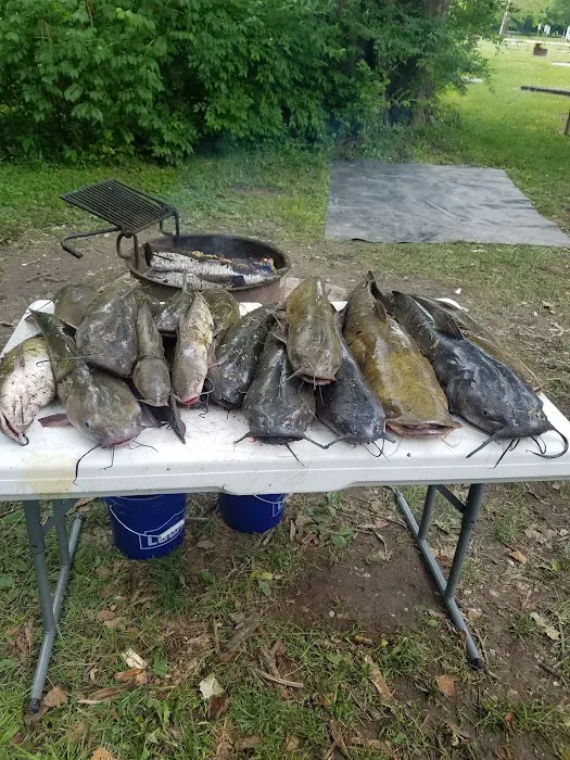 Sycamore Loop Picture 7