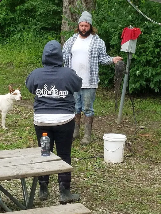 Sycamore Loop Picture 9