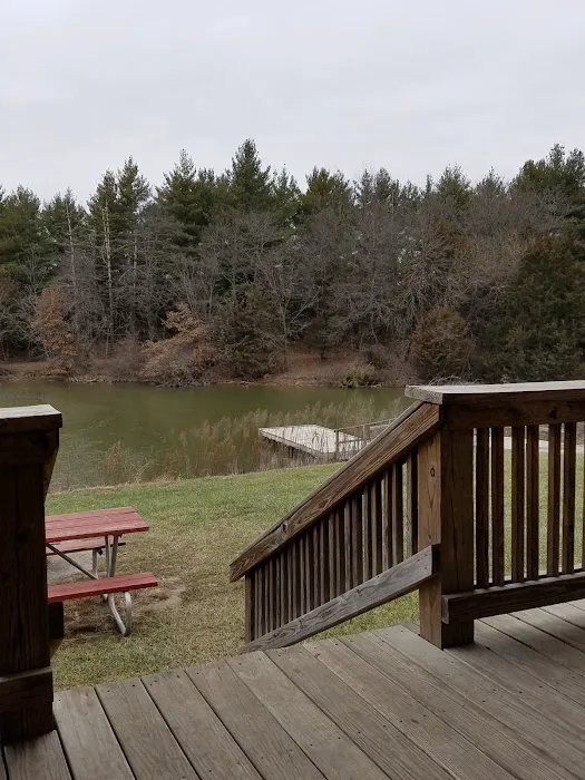 Timber View Cabin Picture 6