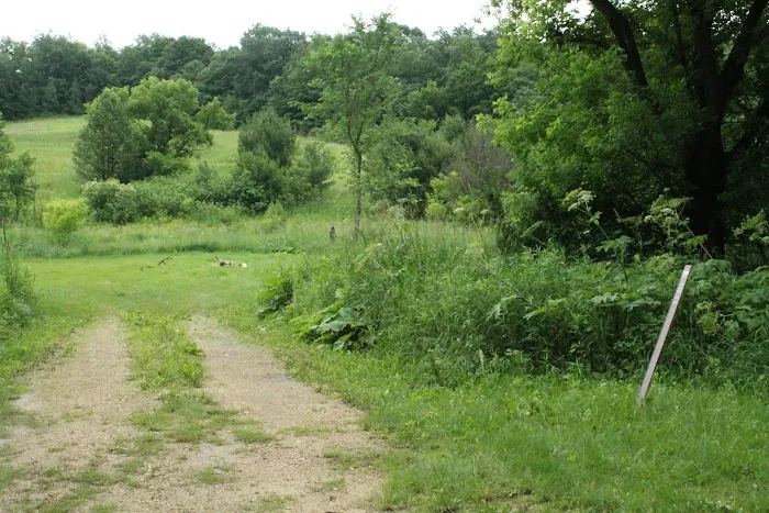 KVR Campsite PP Picture 6