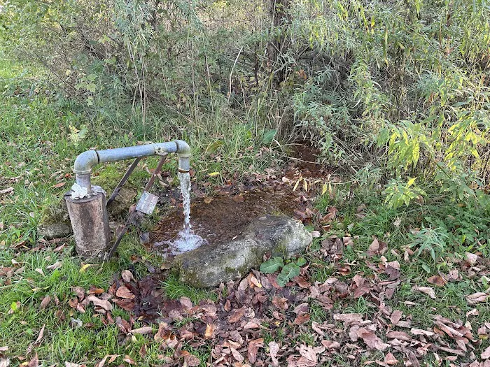 KVR Campsite PP Picture 8