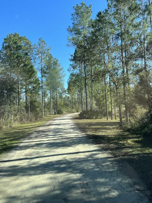 The Hideaway Picture 8