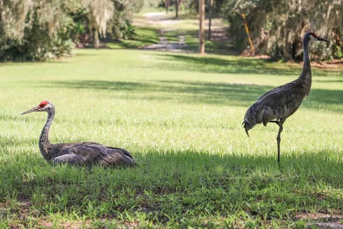Deerhaven Campground Picture 17