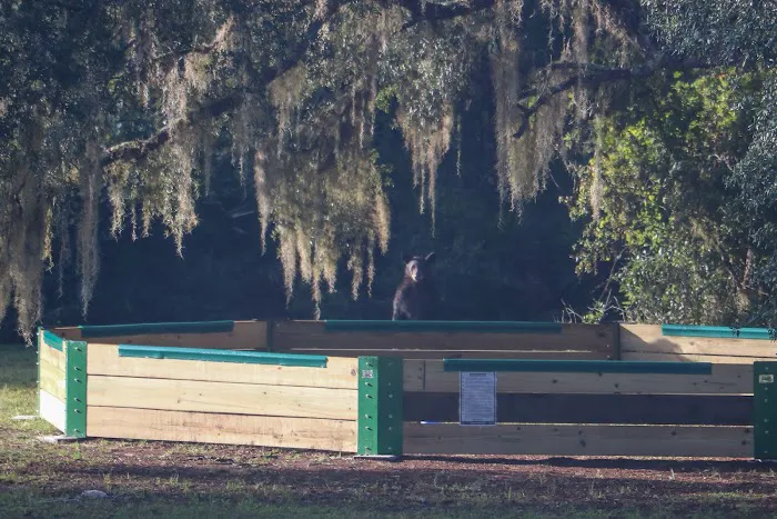 Deerhaven Campground Picture 14