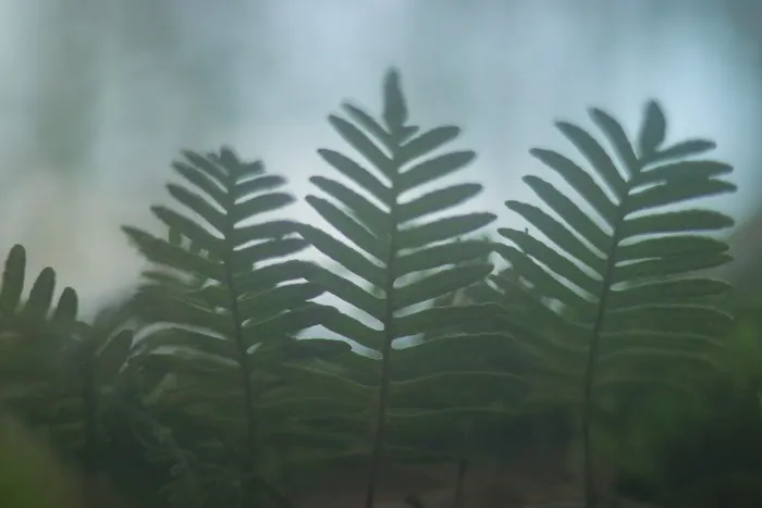 Deerhaven Campground Picture 16