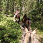 Shangrila Campgrounds