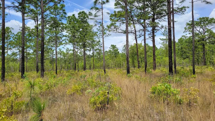 Shangrila Campgrounds Picture 7