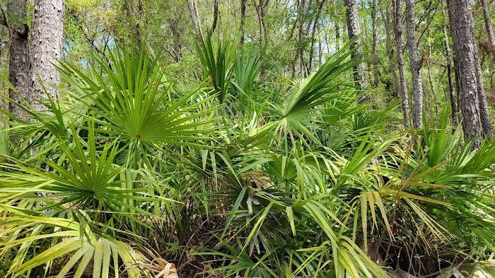 Shangrila Campgrounds Picture 8