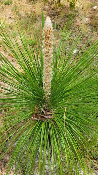 Shangrila Campgrounds Picture 4