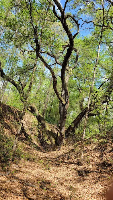 Shangrila Campgrounds Picture 5