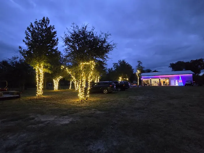 Hidden Cypress Christmas Tree Farm Picture 2