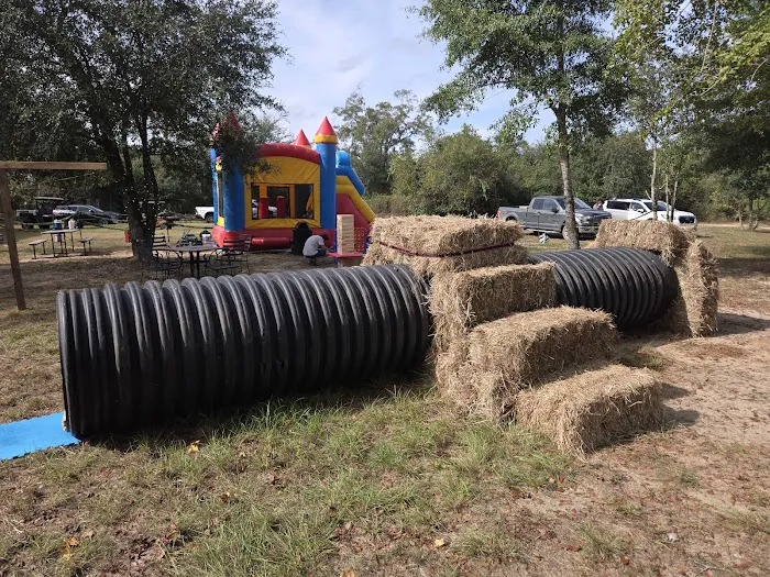 Hidden Cypress Christmas Tree Farm Picture 7
