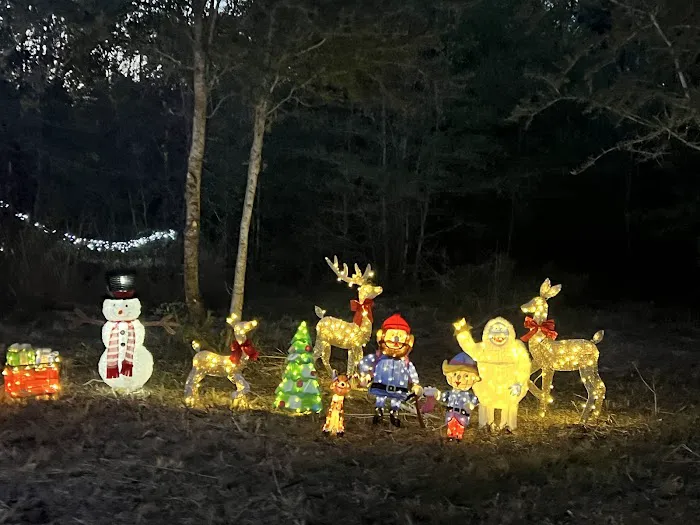 Hidden Cypress Christmas Tree Farm Picture 9