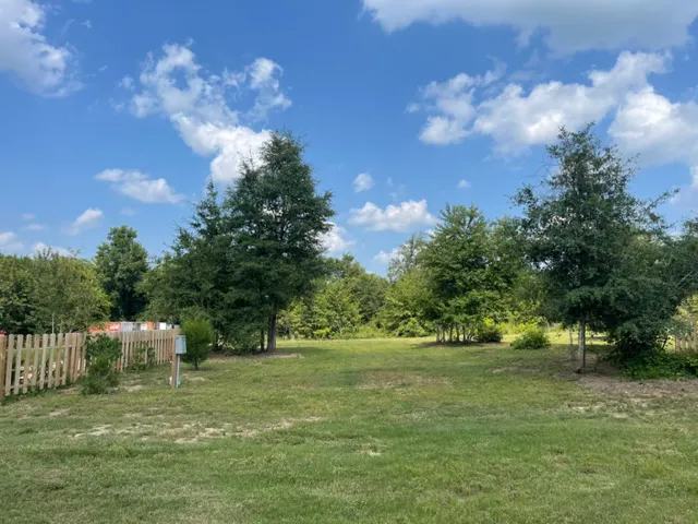 Hidden Cypress Christmas Tree Farm Picture 8