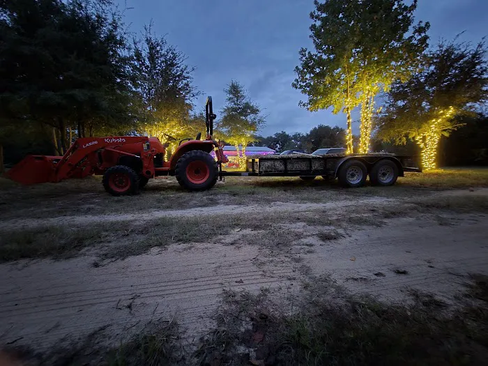 Hidden Cypress Christmas Tree Farm Picture 6