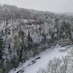 Bluffton Resort and Bar