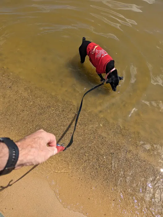 Dam West Beach Picture 9