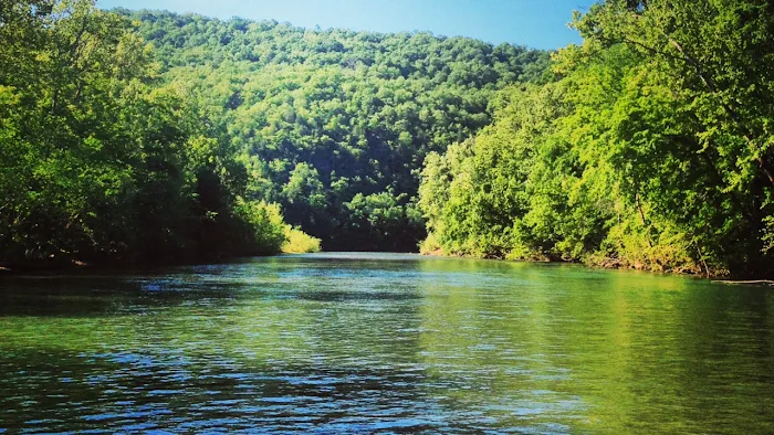 Ozark Riverfront Campground & RV Park Picture 3