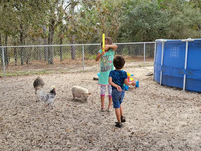 Happy Campers Rescue Ranch Picture 9