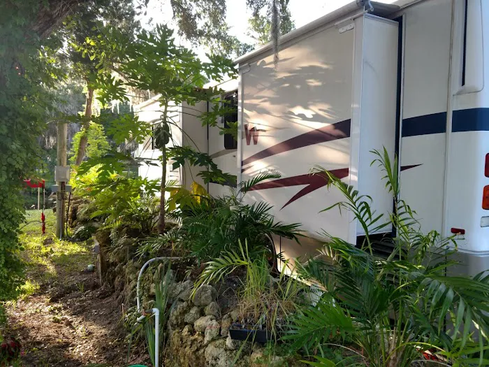 Ozello Keys Fish Camp Picture 3