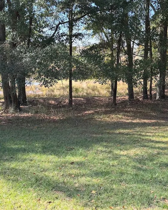 Pondview Acres Campground Picture 4